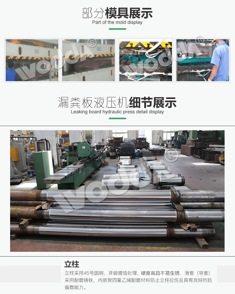 漏糞闆液(yè)壓機模具展(zhan)示